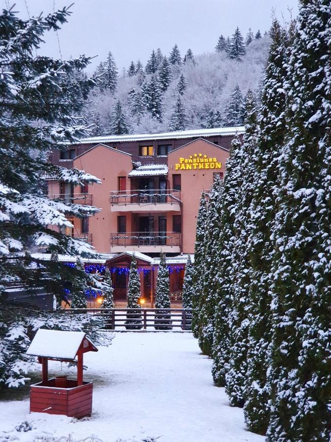 Pension Pantheon Poiana Brasov Exterior foto